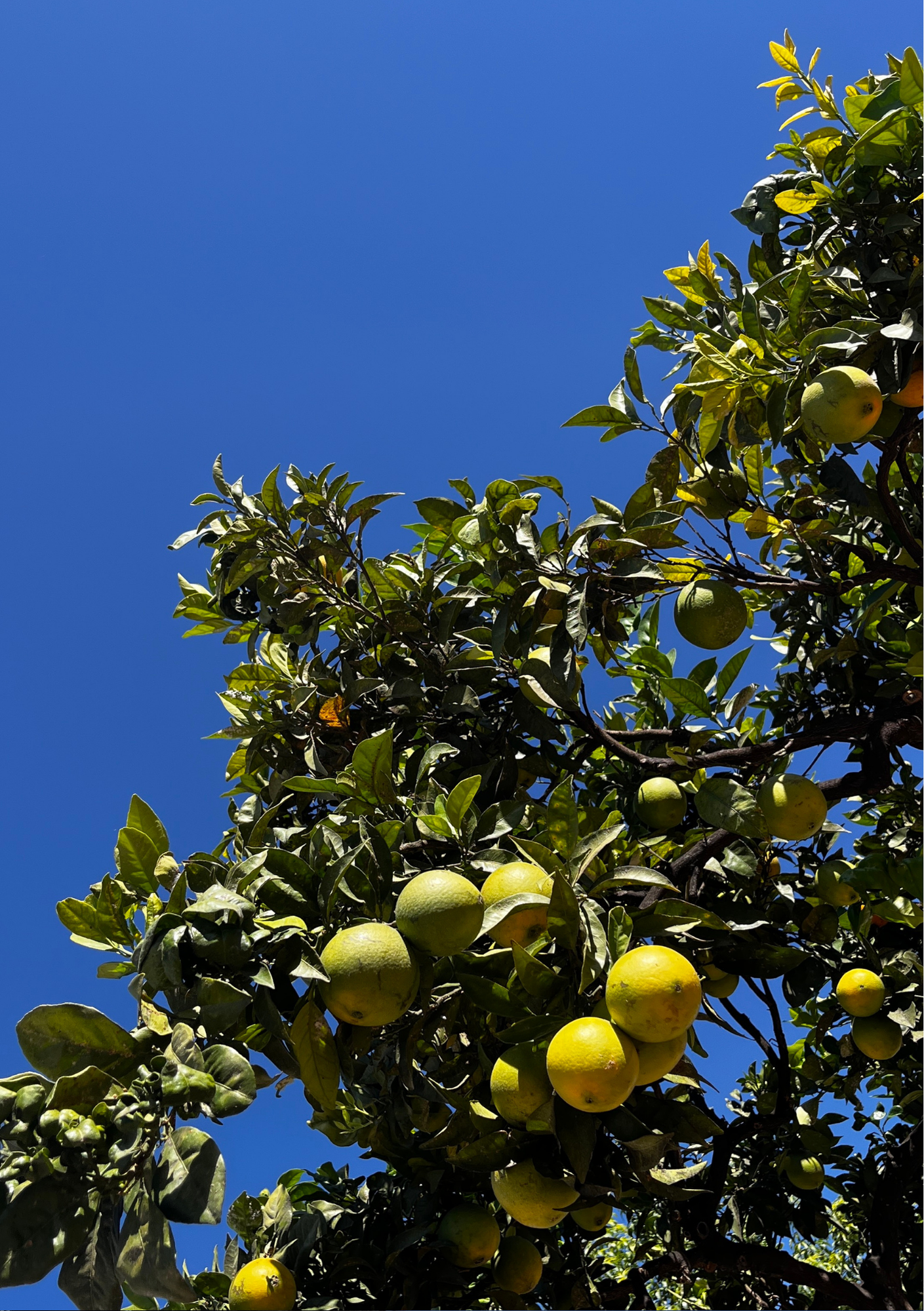 5 tiny ways to save the planet
